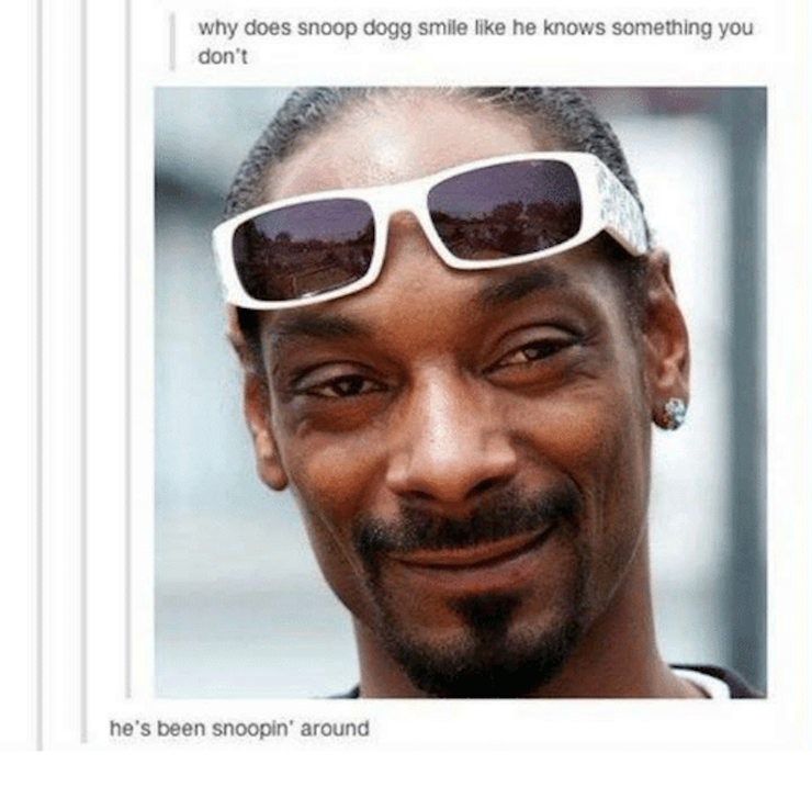 16 Hilarious Snoop Dogg Memes He S Probably Pretty Chill About